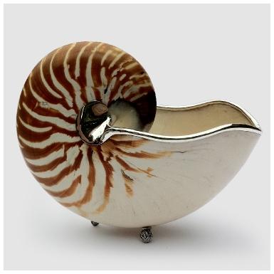 imagesshellbowl